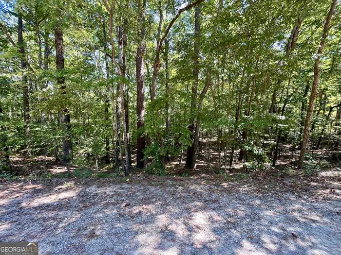 photo 2: Magpie Court Unit LOT 194, Monticello GA 31064