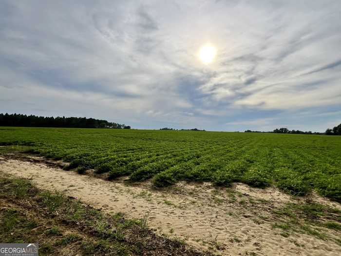 photo 36: Bowen Rushing Road, Statesboro GA 30458