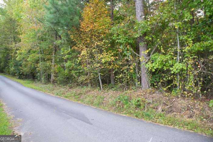 photo 1: Rock Chimney Lane, Dahlonega GA 30533