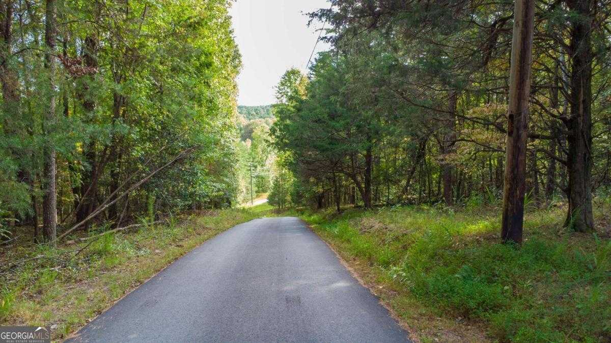 photo 3: Rock Chimney Lane, Dahlonega GA 30533