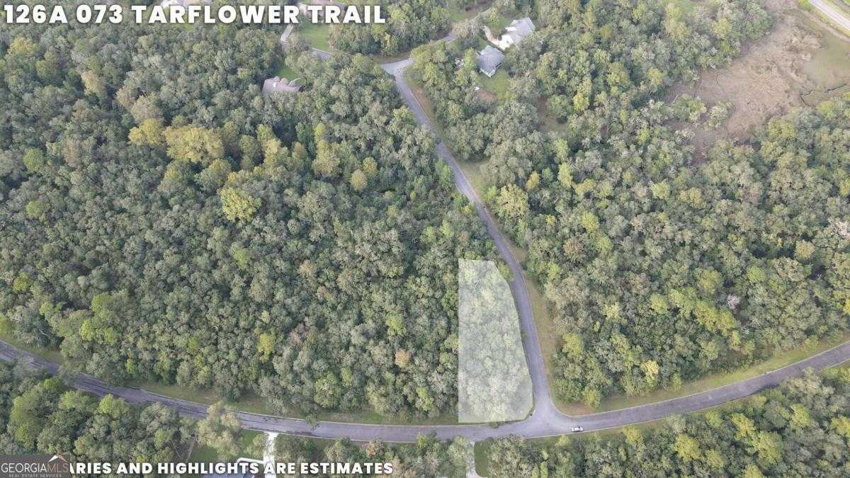 photo 1: LOT 73 Tar Flower Trail, Waverly GA 31565