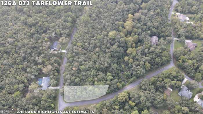 photo 2: LOT 73 Tar Flower Trail, Waverly GA 31565