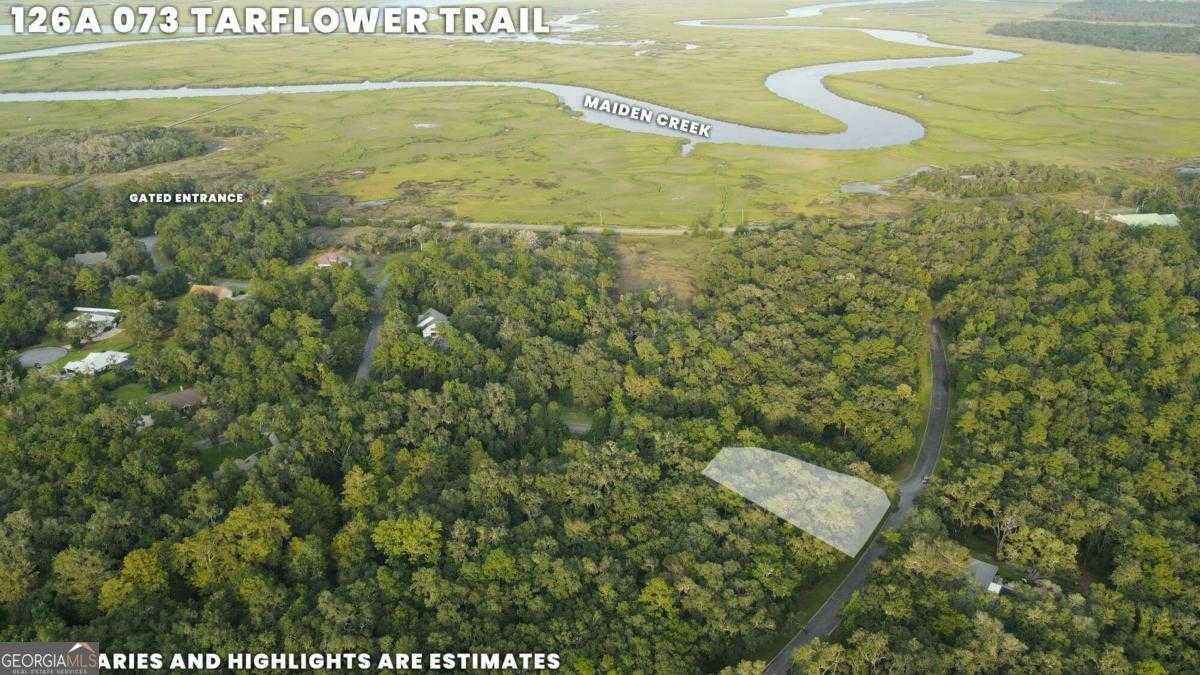 photo 3: LOT 73 Tar Flower Trail, Waverly GA 31565