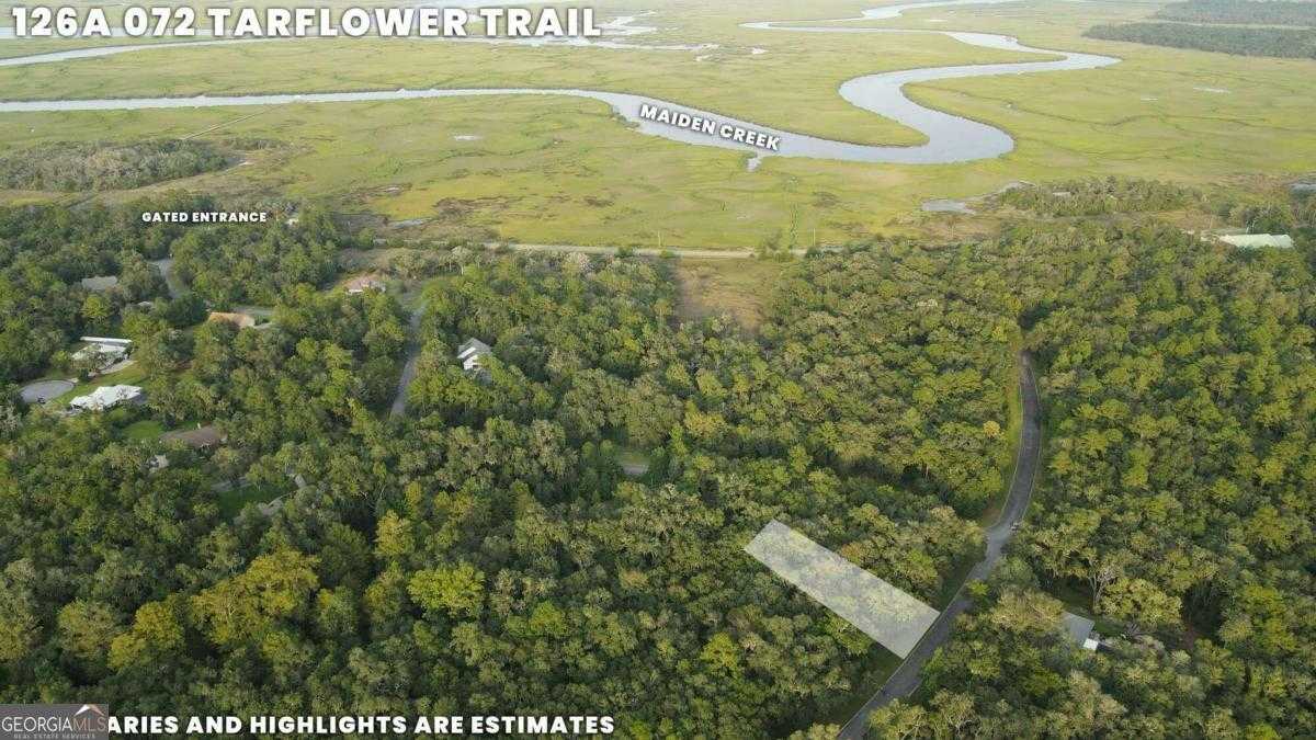 photo 1: LOT 72 Tar Flower Trail, Waverly GA 31565