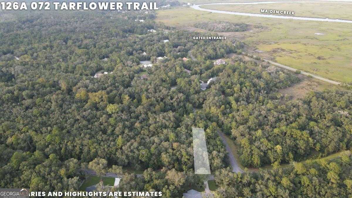 photo 2: LOT 72 Tar Flower Trail, Waverly GA 31565