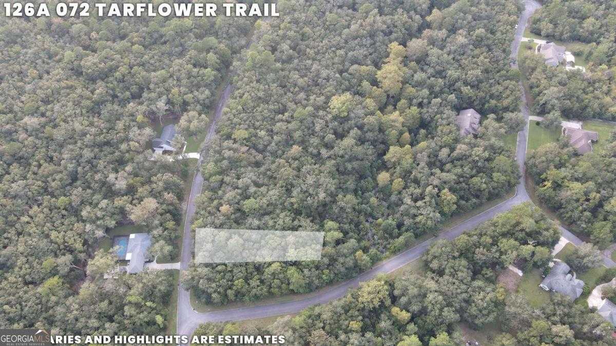 photo 3: LOT 72 Tar Flower Trail, Waverly GA 31565