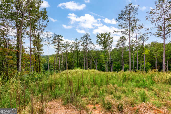 photo 2: LOT 92 Blalock Mountain Rd, Ellijay GA 30540