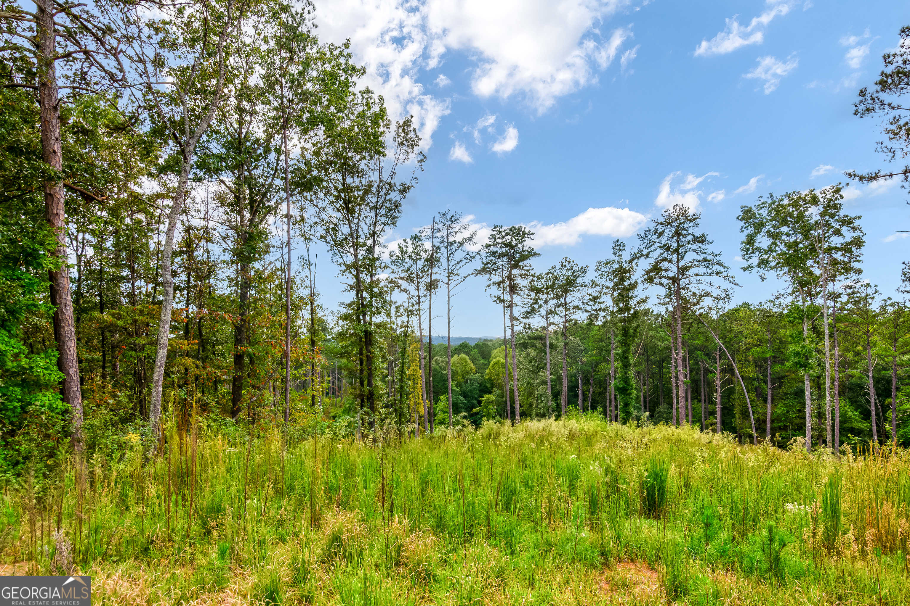 photo 3: LOT 92 Blalock Mountain Rd, Ellijay GA 30540