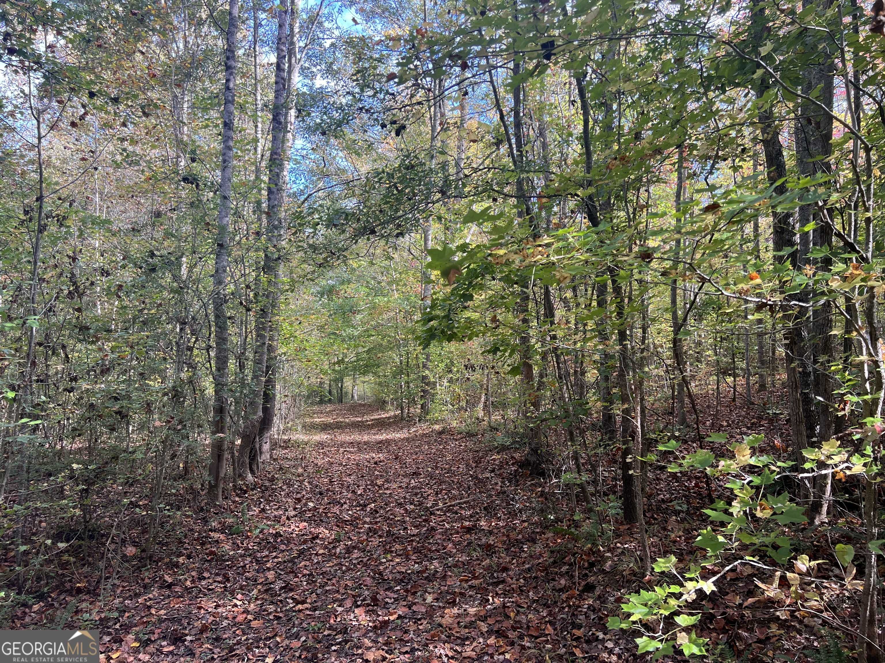 photo 1: South Bridge Road, Franklin GA 30217