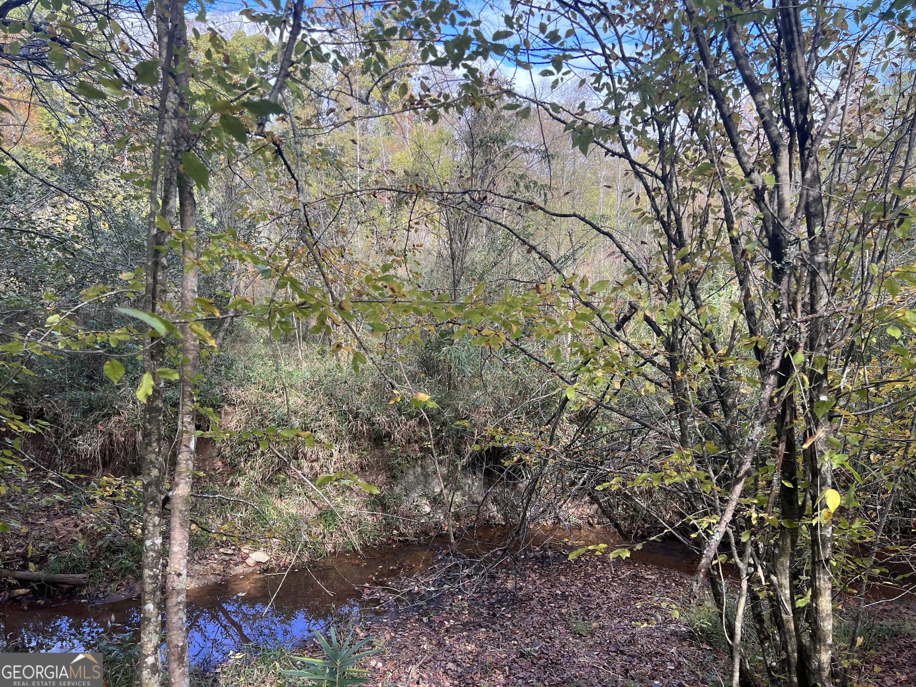 photo 3: South Bridge Road, Franklin GA 30217