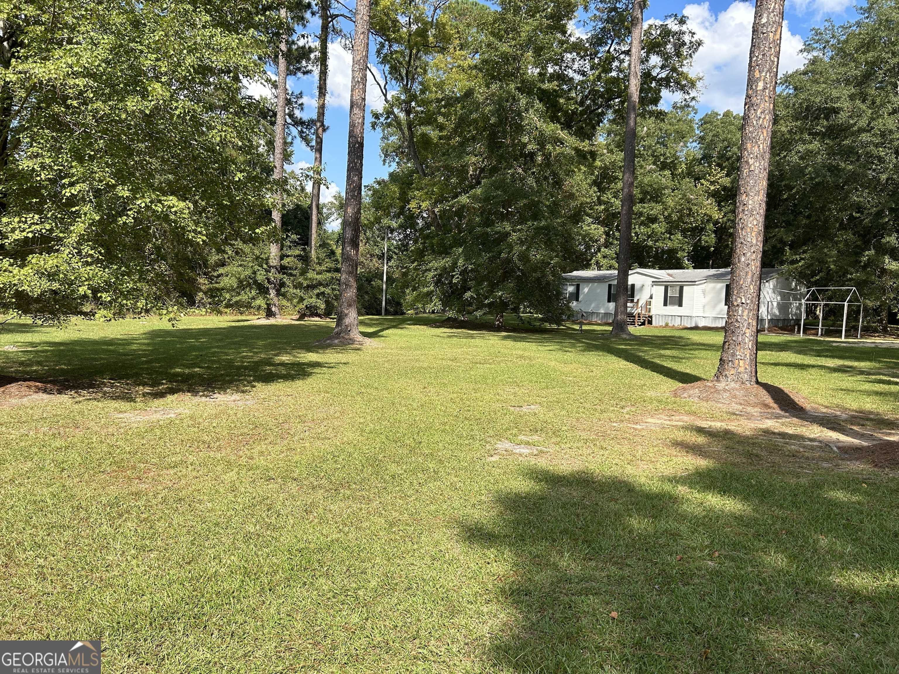 photo 3: 896 Bryant Stills Road, Brooklet GA 30415