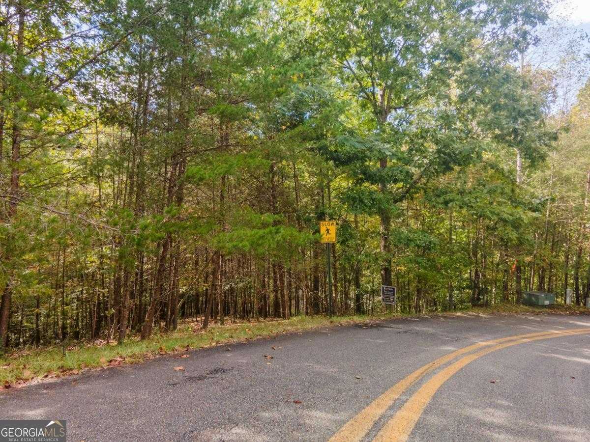 photo 3: 4 & 5 Trevor Trail, Dahlonega GA 30533