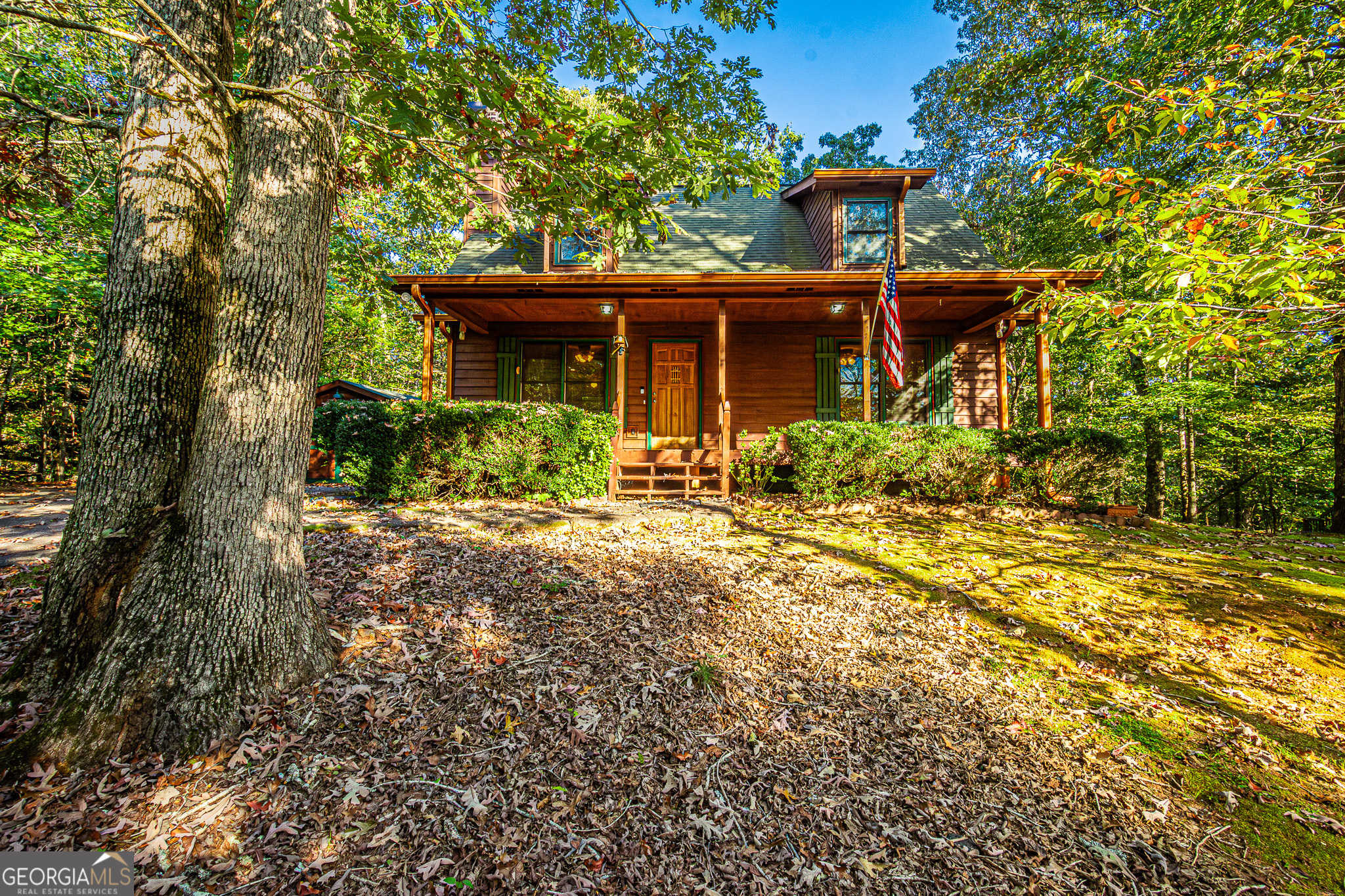 photo 3: 49 Maple Ridge Road, Dahlonega GA 30533