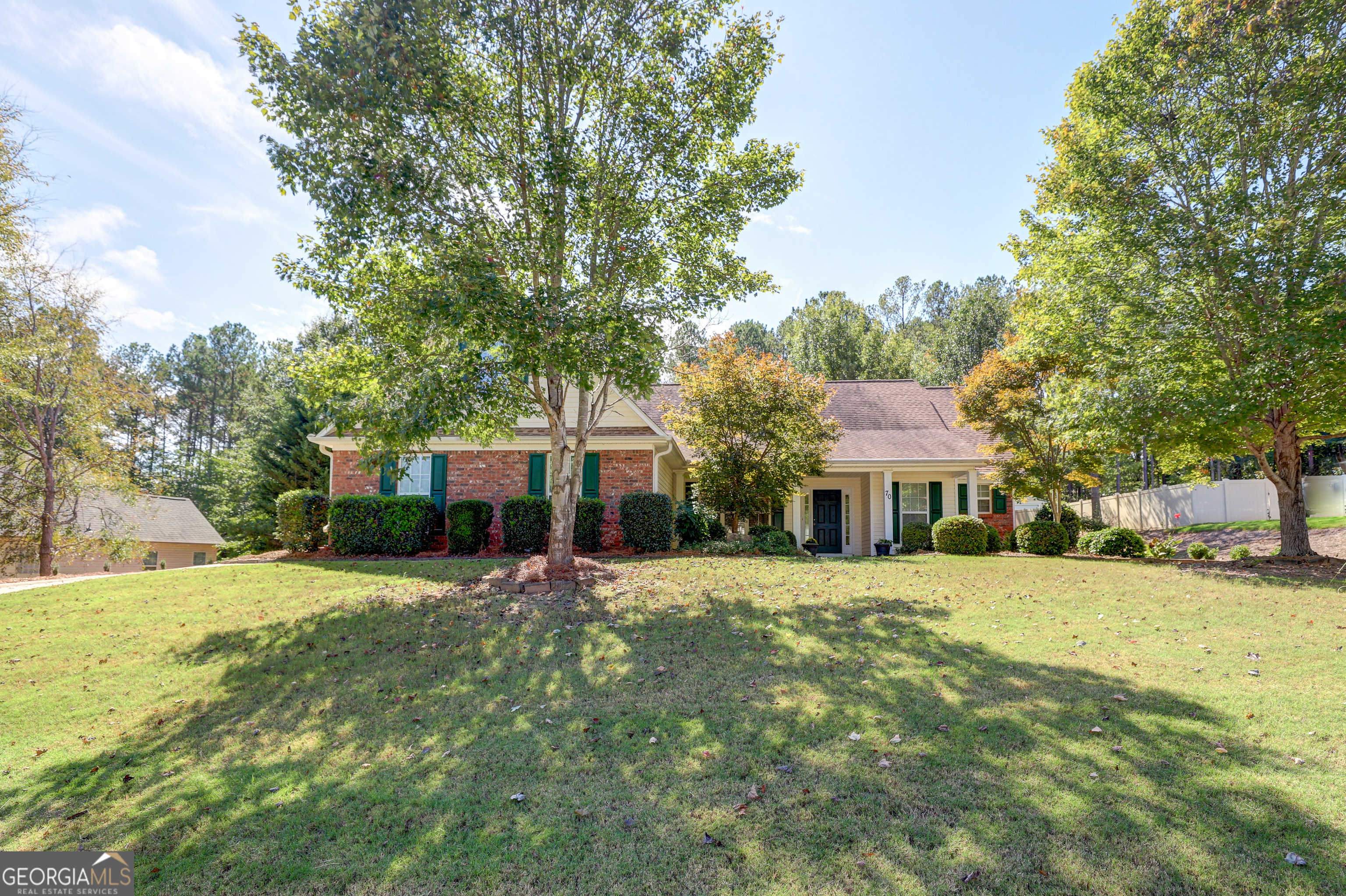 photo 2: 70 Ivy Lane, Senoia GA 30276