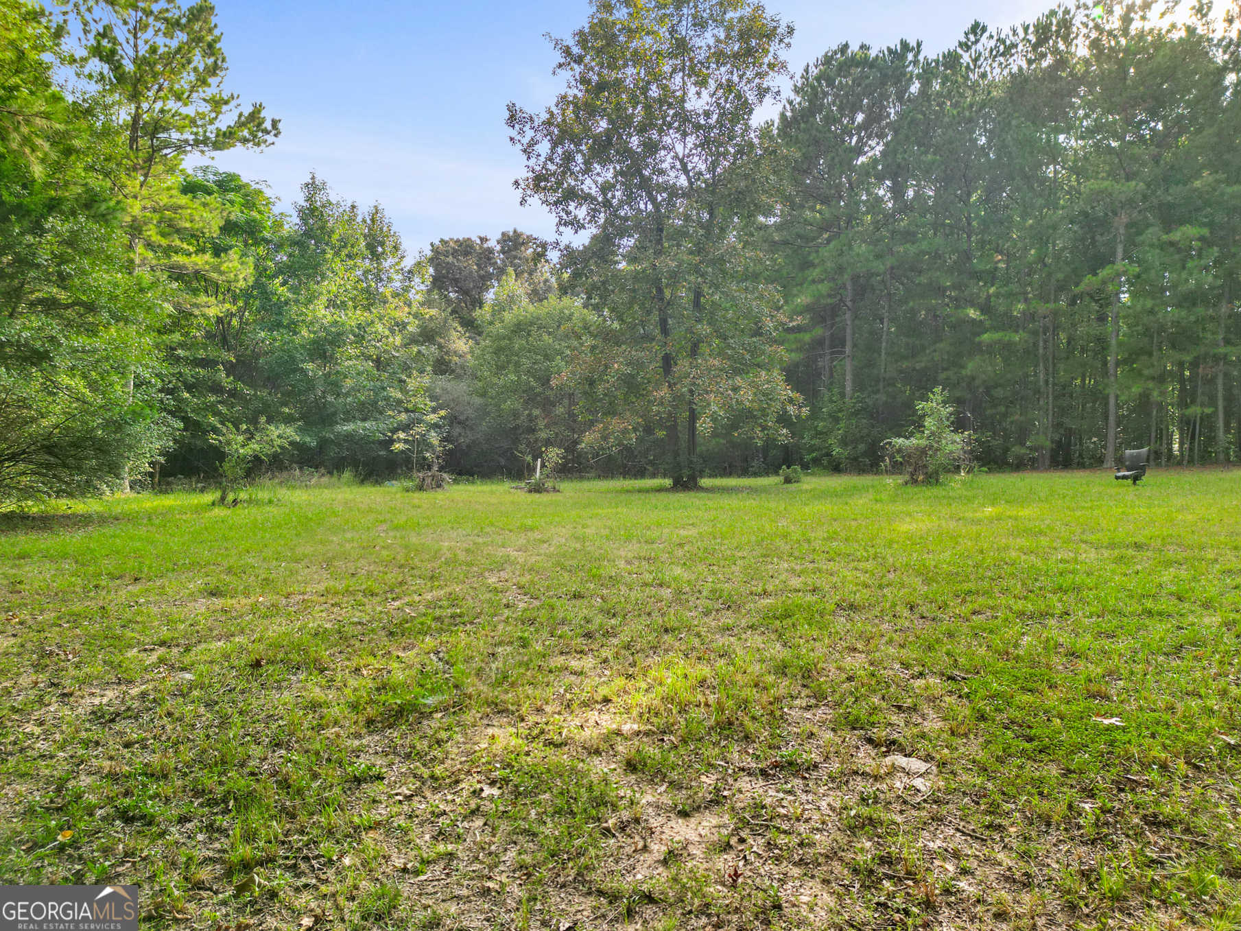 photo 1: 128 Deep South Road, Senoia GA 30276