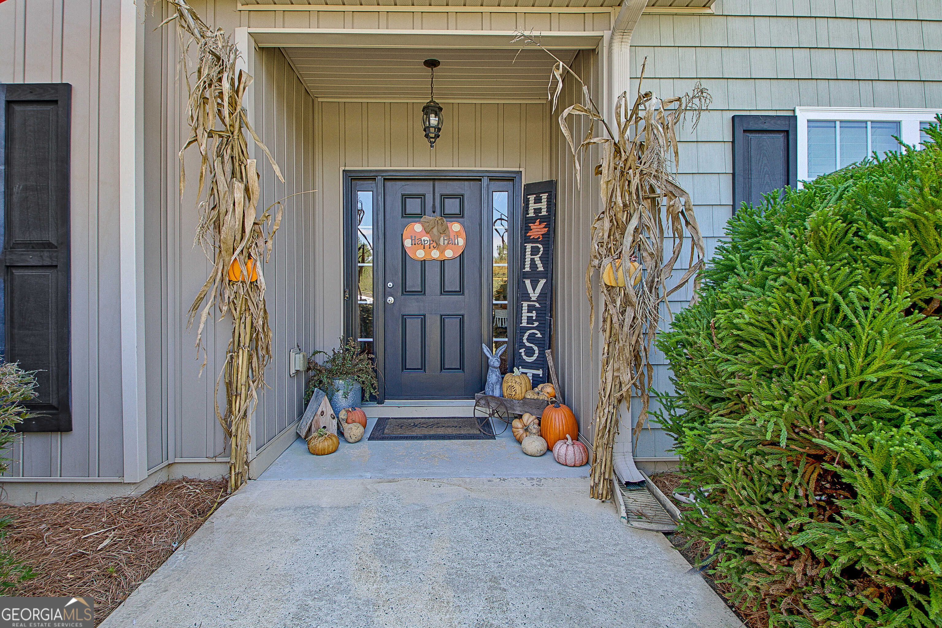 photo 3: 433 Austin Storey Circle, Newnan GA 30263