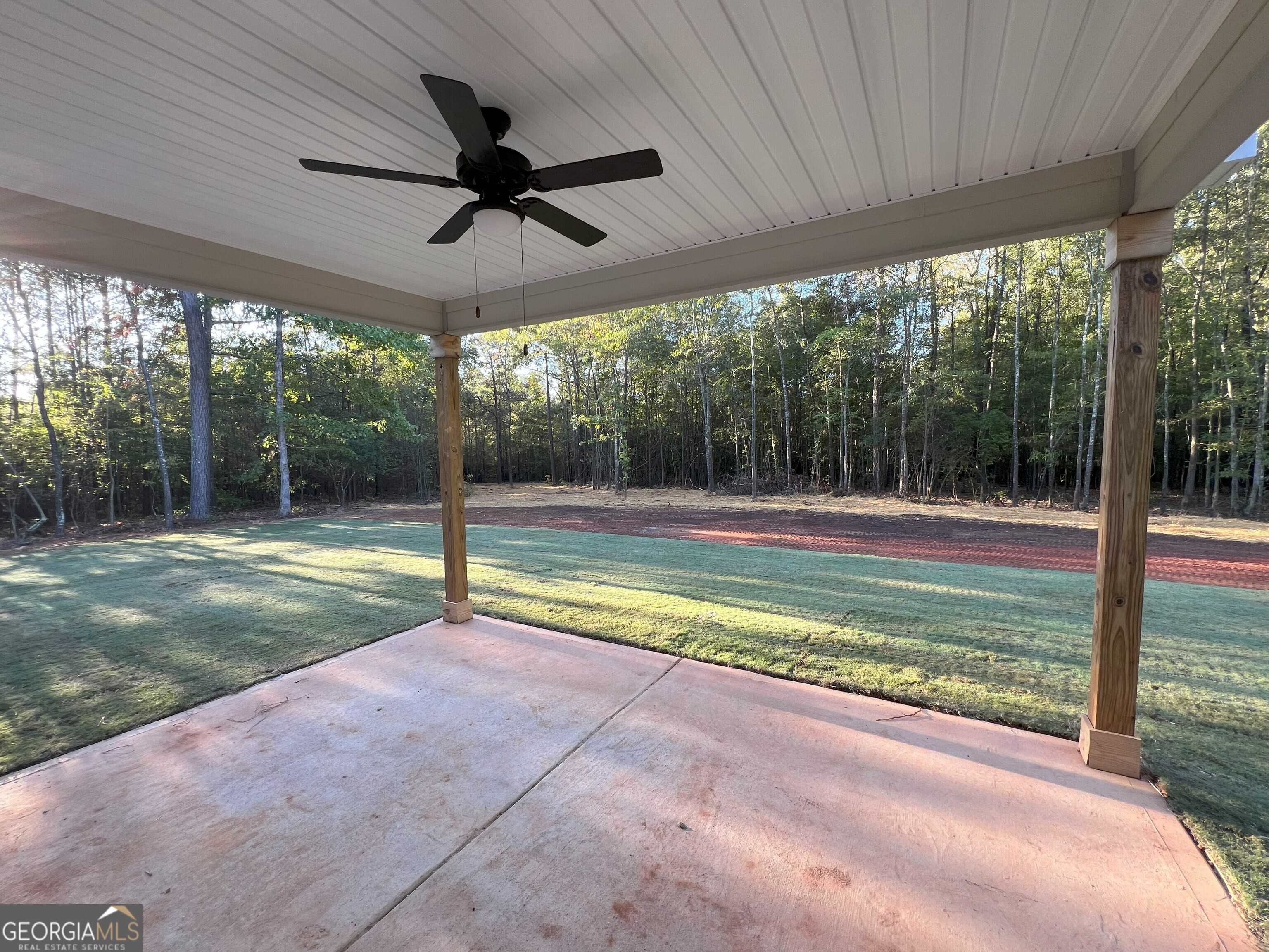 photo 3: 655 Earl North Road, Newnan GA 30263