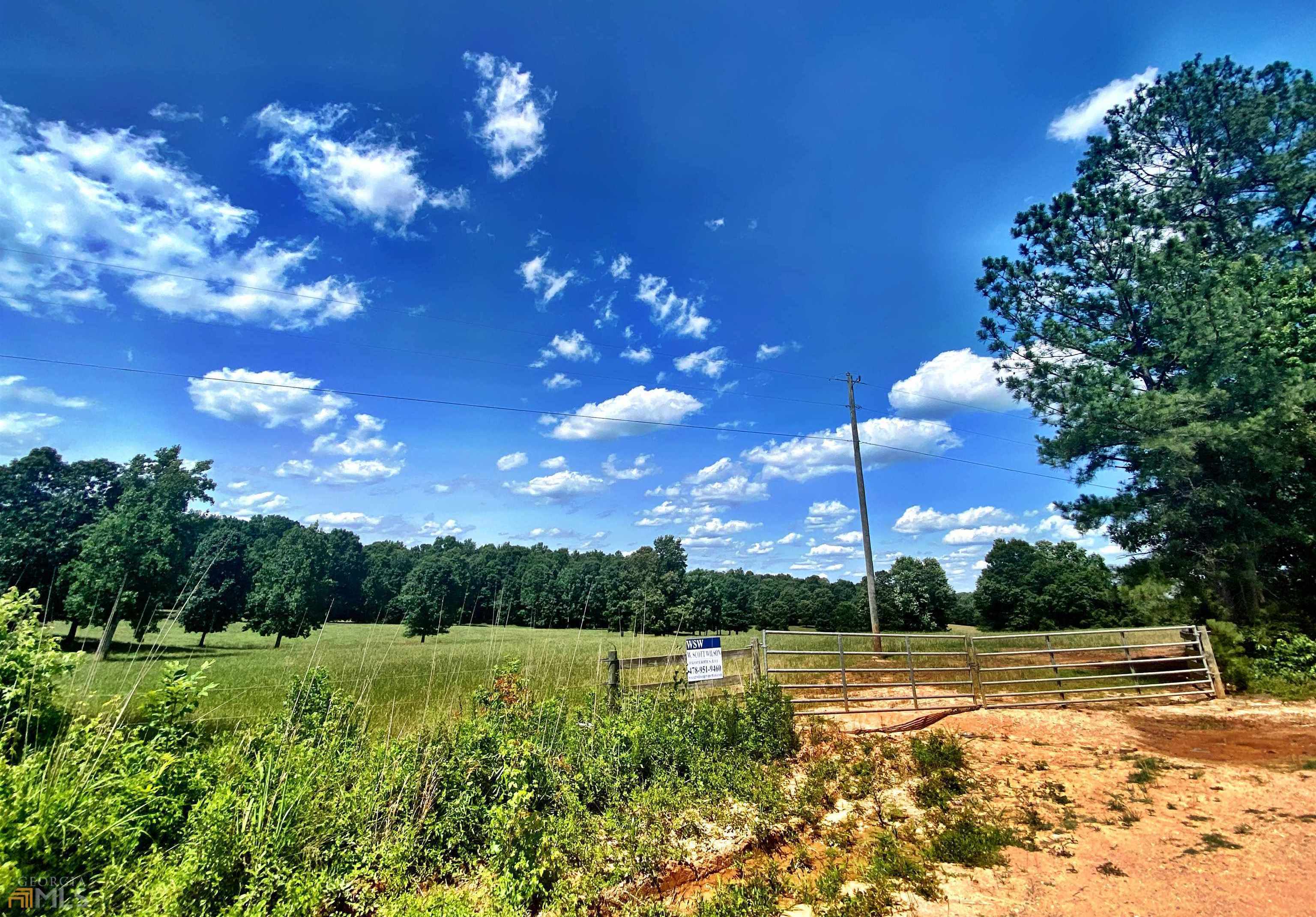 photo 3: Blue Ridge School Road Road, Forsyth GA 31029