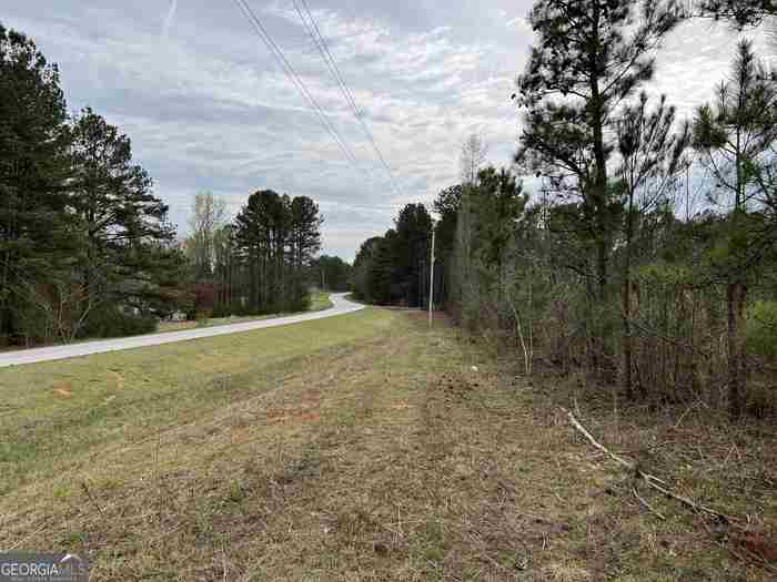 photo 1: Jacksonville Road, Buchanan GA 30113