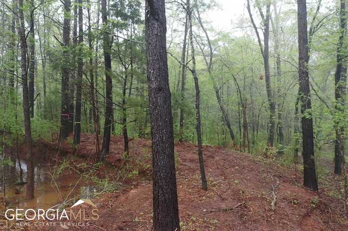 photo 9: LOT 7 Mountain View Drive, Hamilton GA 31811