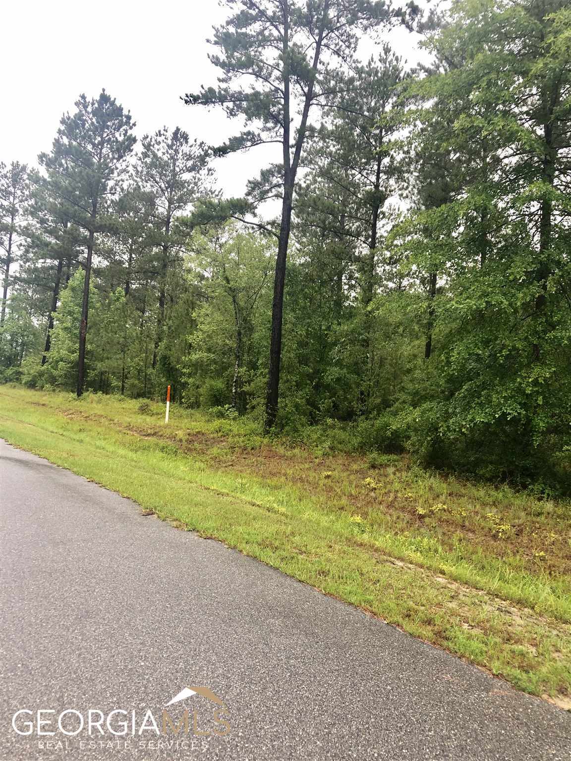 photo 2: Okmulgee Trail Unit LOT 56, Dublin GA 31021