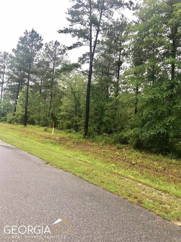 photo 2: Okmulgee Trail Unit LOT 58, Dublin GA 31021