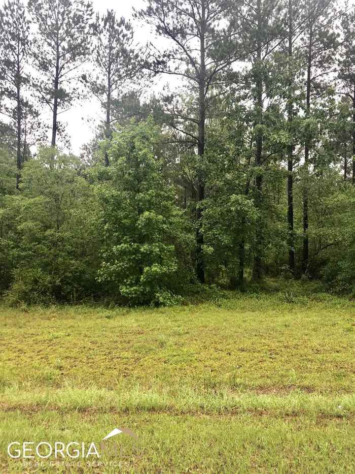 photo 6: Okmulgee Trail Unit LOT 58, Dublin GA 31021