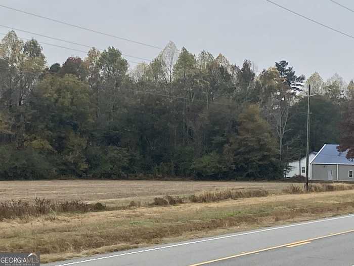 photo 17: W 80 Highway, Montrose GA 31065