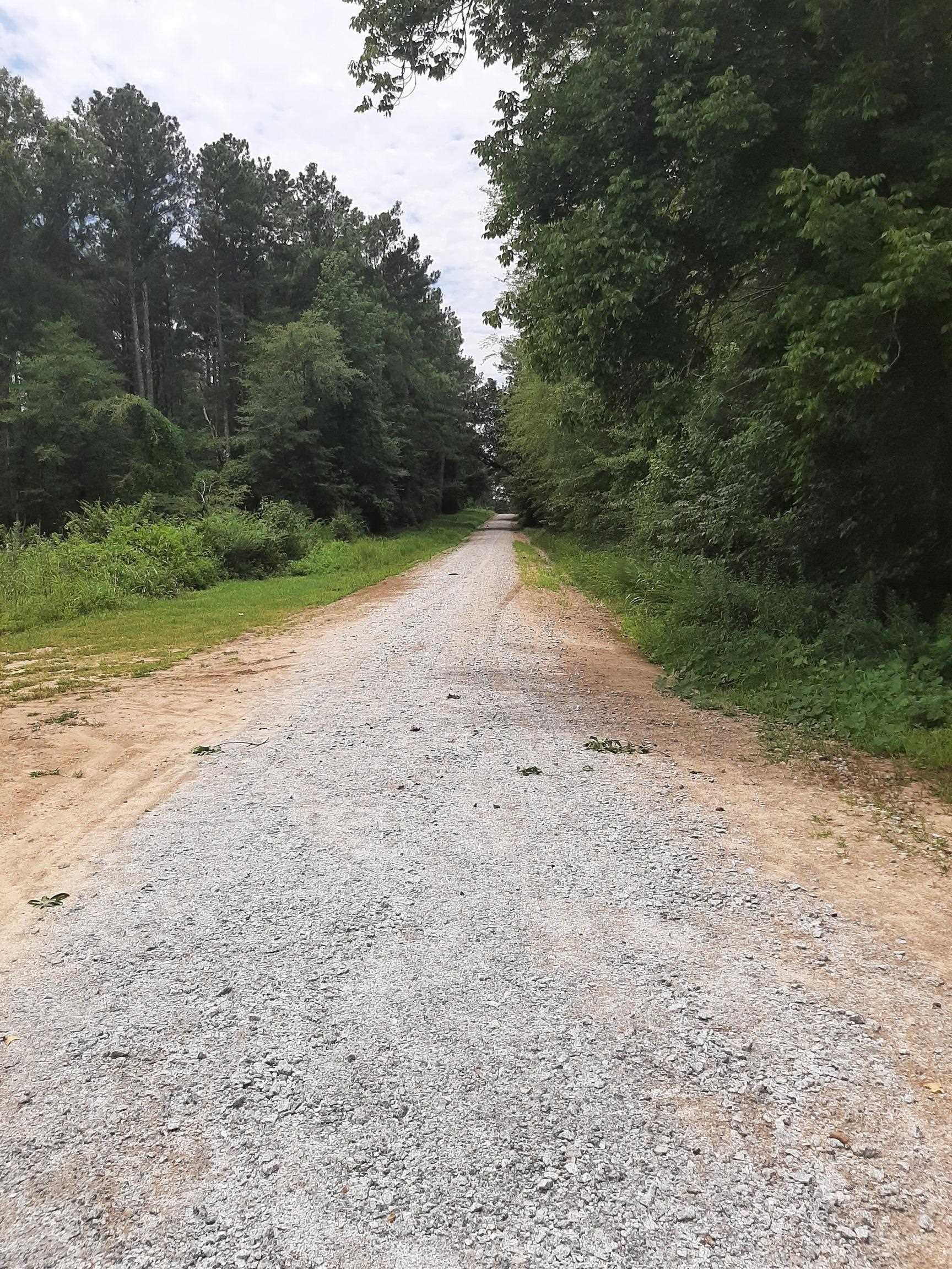 photo 1: Buffalo Lick Road, Union Point GA 30669