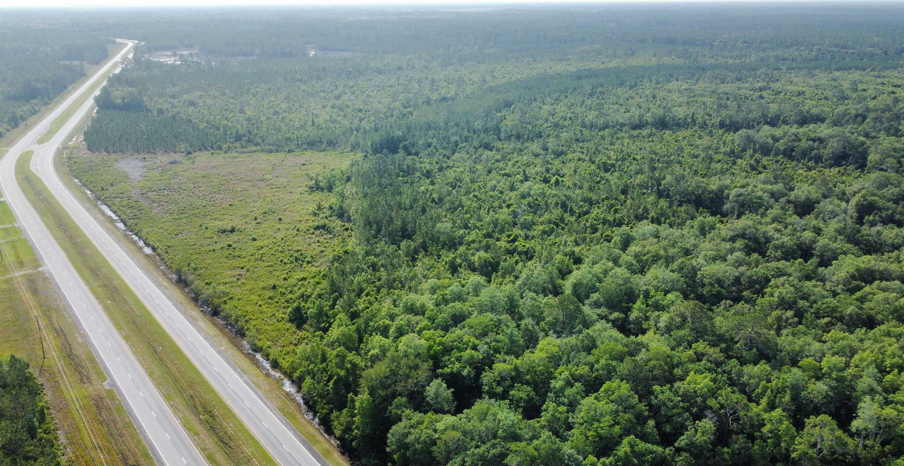 photo 3: Valdosta Highway, Du Pont GA 31630