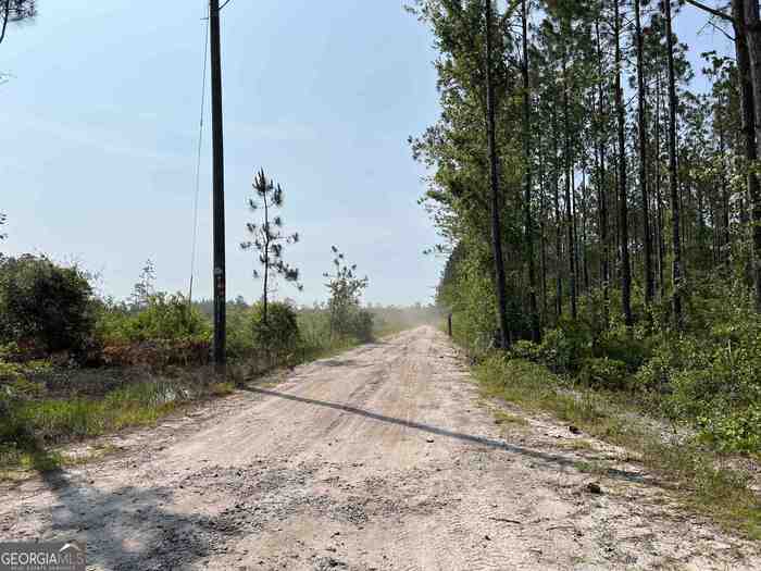 photo 1: Valdosta Highway, Du Pont GA 31630