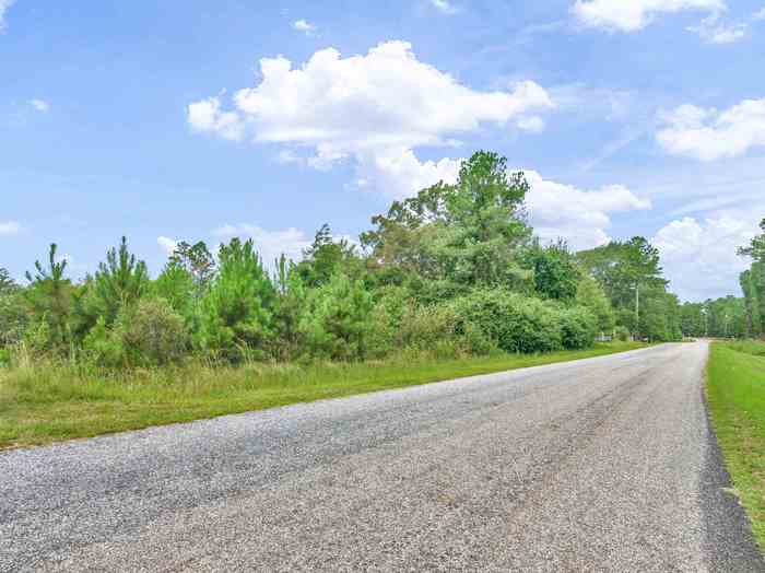 photo 1: Riley Road, Flovilla GA 30216