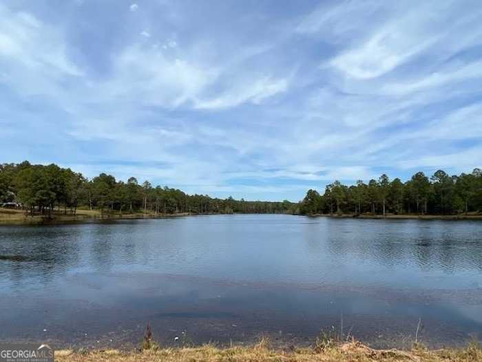 photo 1: 01 Rustins Lake Road, Butler GA 31006