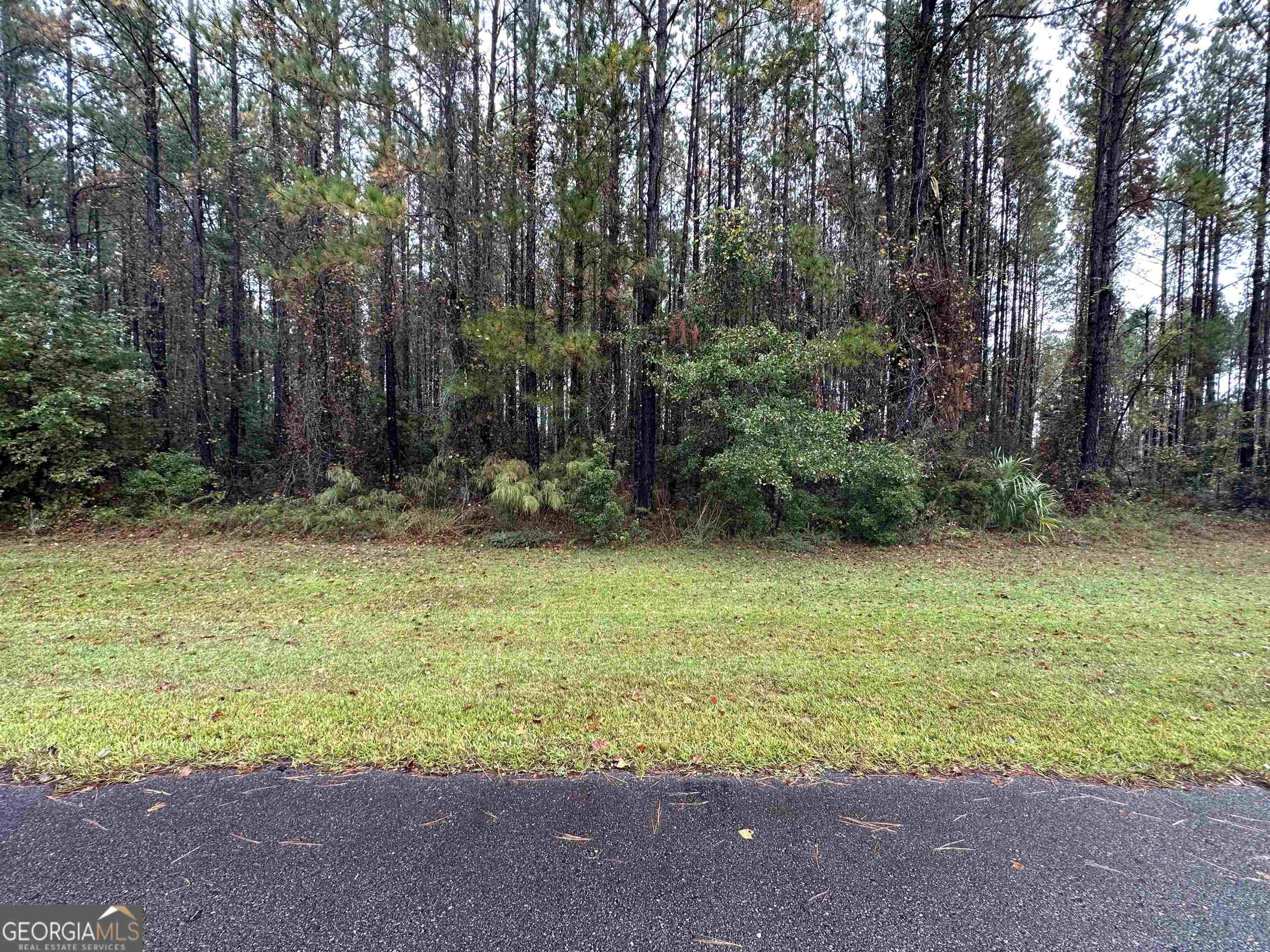 photo 1: V/L 129 La Mare Lane, Waverly GA 31565