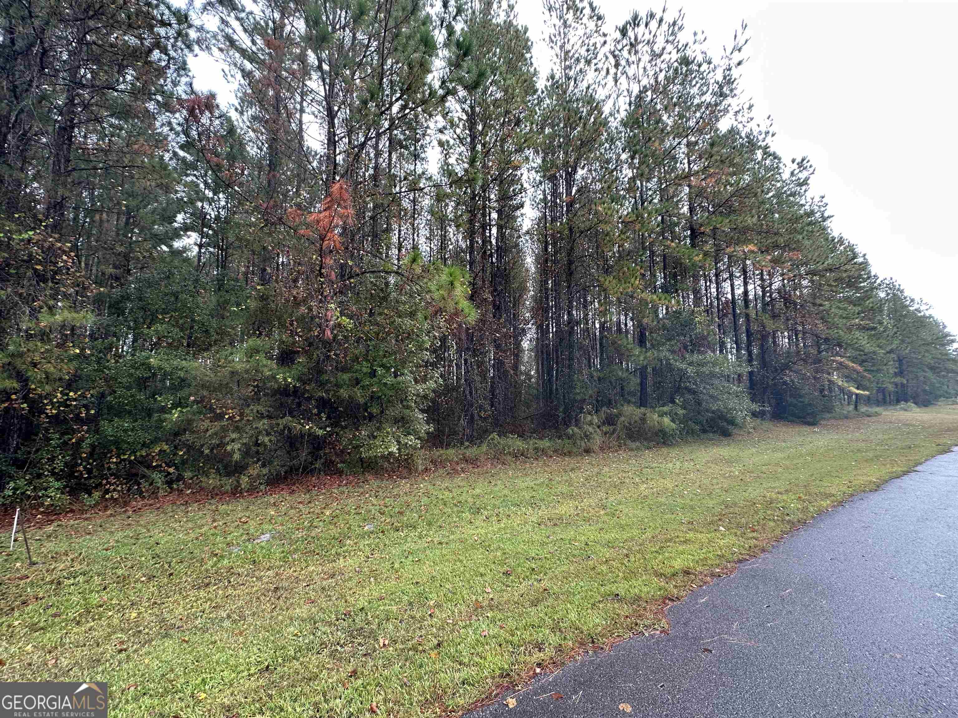 photo 3: V/L 129 La Mare Lane, Waverly GA 31565