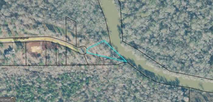 photo 2: LOT 19 River Ridge Drive, Hawkinsville GA 31036