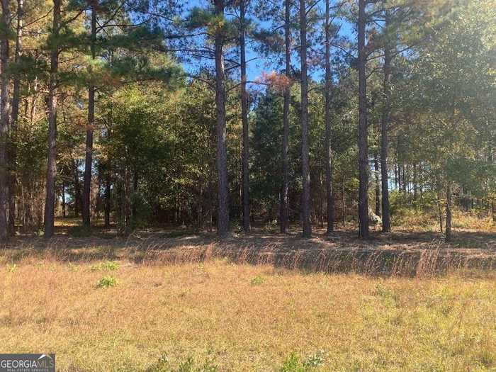 photo 1: LOT 7 Jenny Lynn Lane, Fort Gaines GA 39851