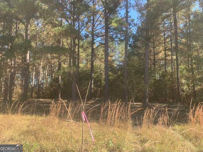 photo 2: LOT 7 Jenny Lynn Lane, Fort Gaines GA 39851