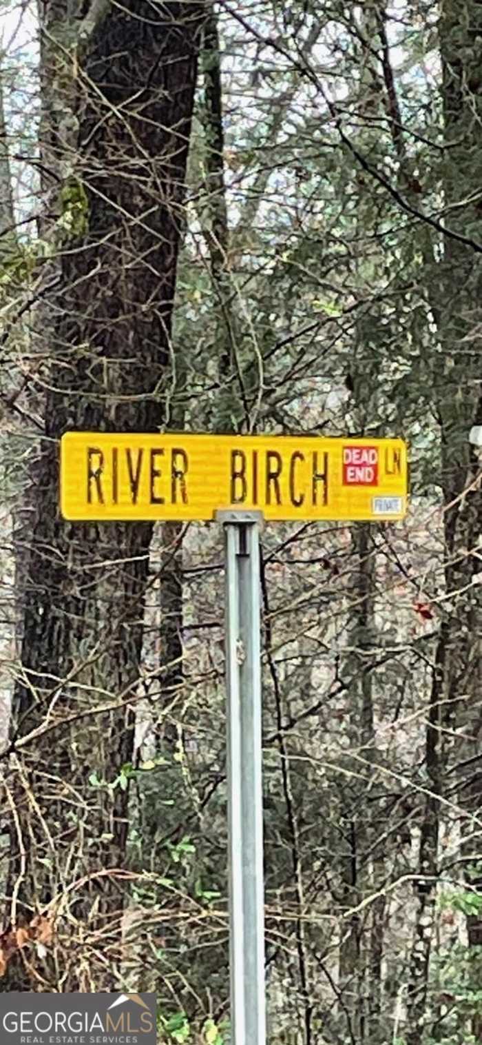 photo 2: River Birch Lane Unit LOT 32, Tiger GA 30576