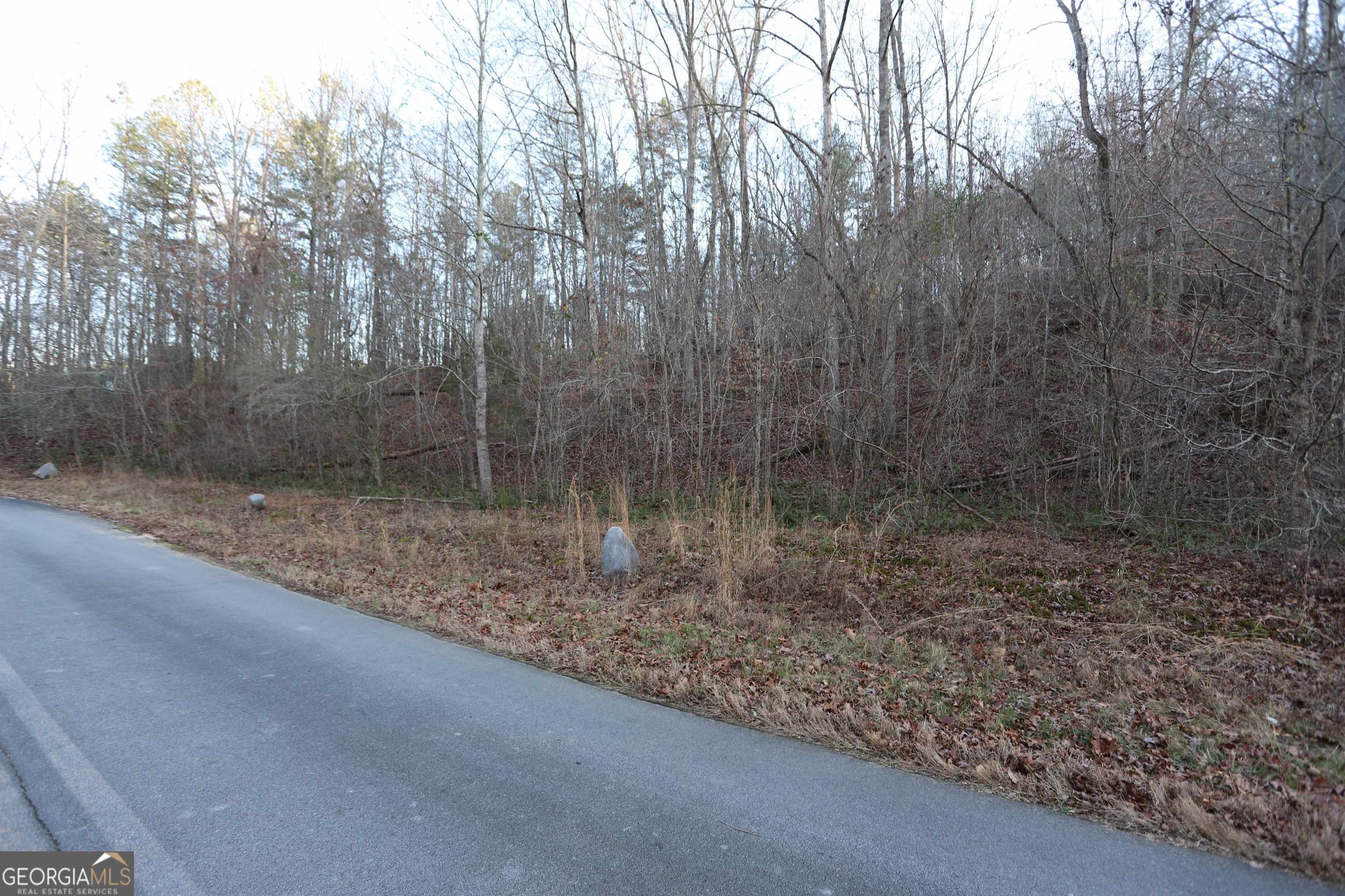 photo 2: Sand Pit Rd, Trion GA 30753