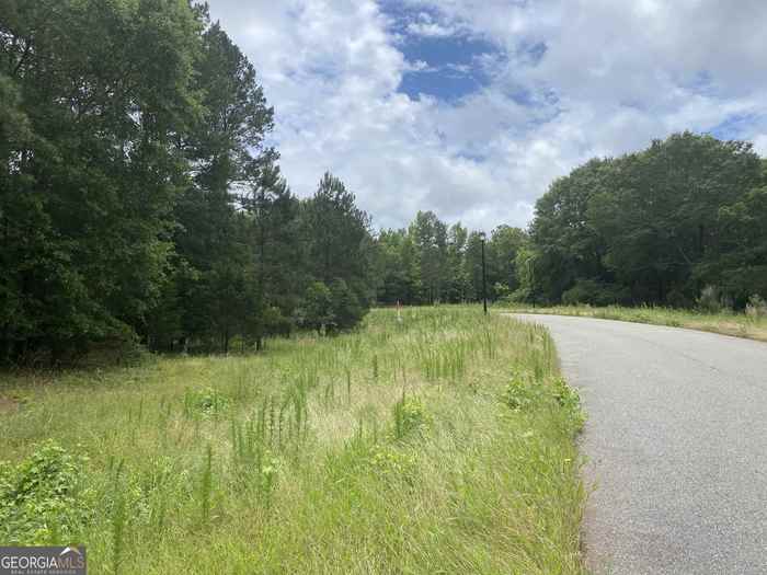 photo 1: Preserve Way, Colbert GA 30628