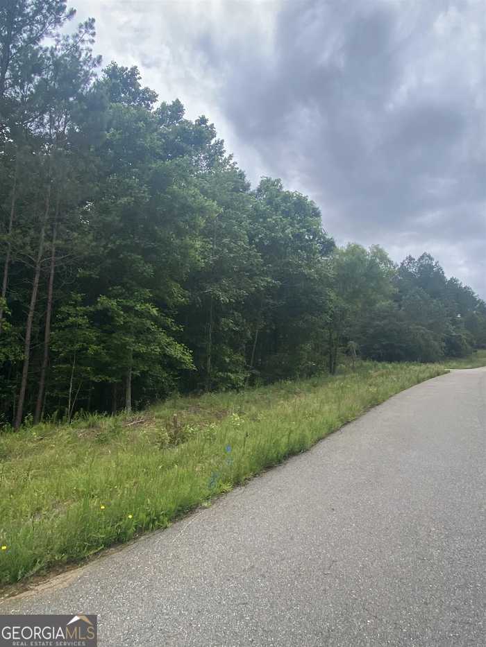 photo 1: Sourwood Trail, Colbert GA 30628