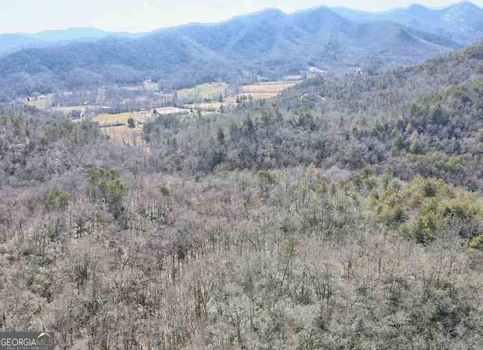 photo 14: Beveret Branch Road, Rabun Gap GA 30568