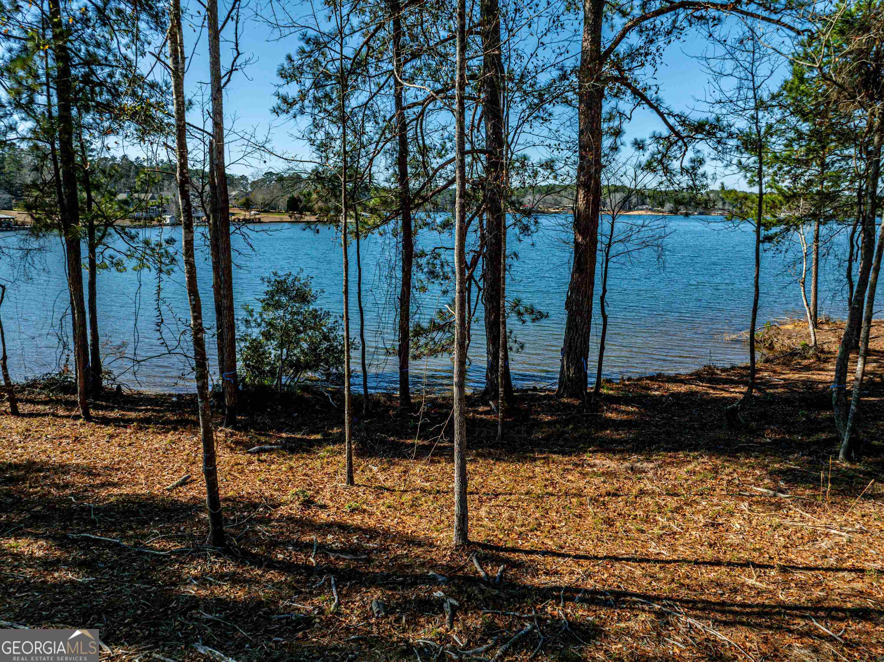 photo 1: LOT 42 The Falls Subdivison, Milledgeville GA 31061