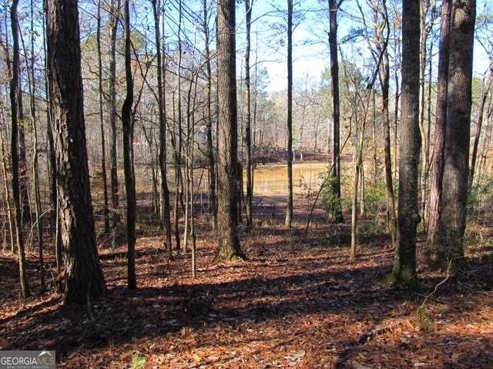 photo 1: LOT 37 Dakota Trail, Fortson GA 31808