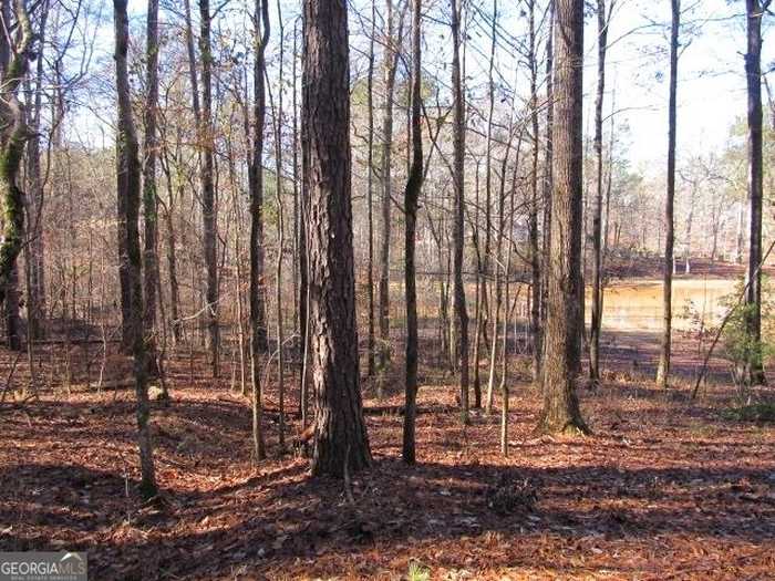 photo 2: LOT 37 Dakota Trail, Fortson GA 31808