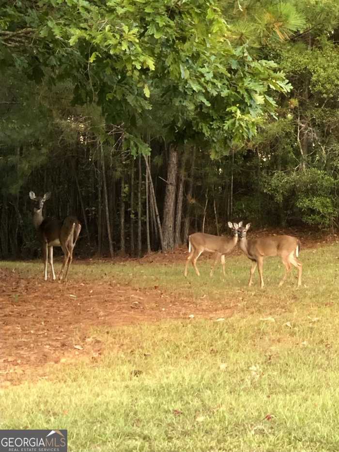 photo 7: LOT 37 Dakota Trail, Fortson GA 31808