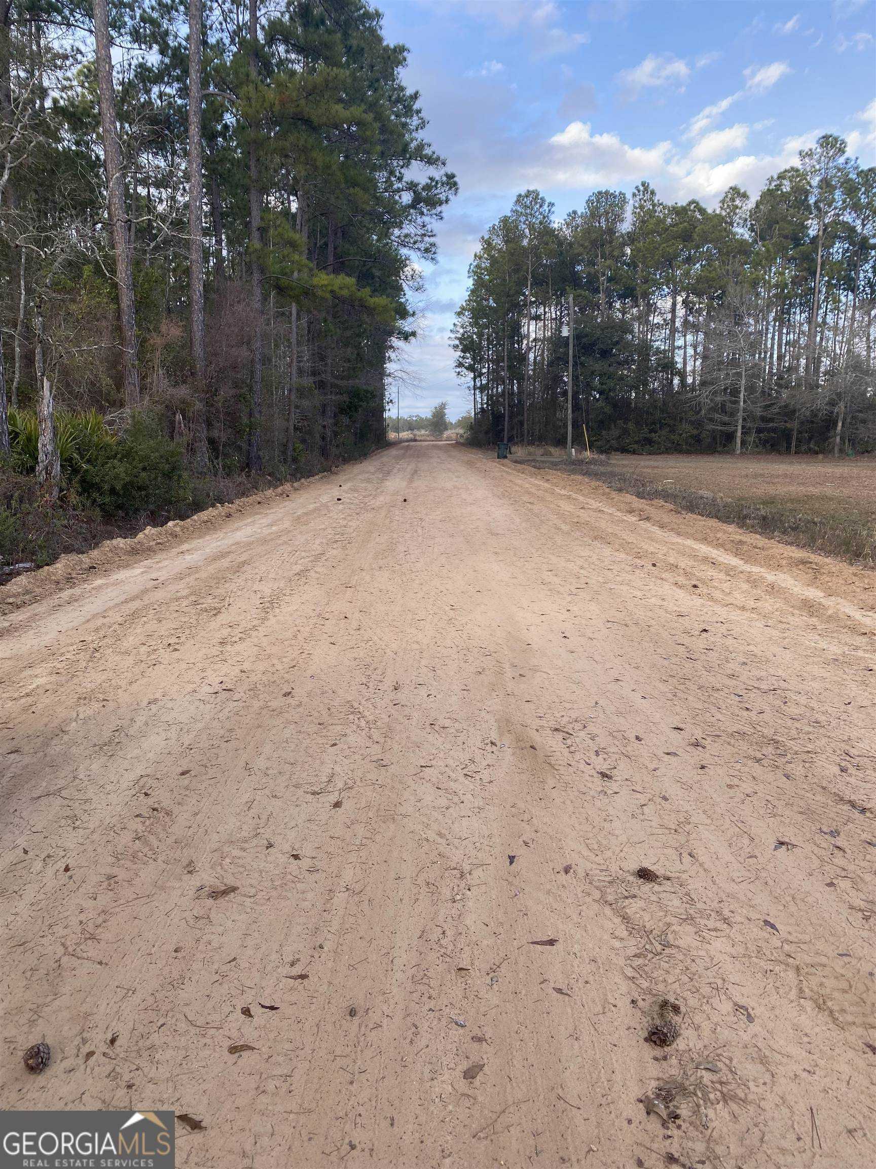 photo 1: Robert Chapel Cemetery Road, Glennville GA 30427