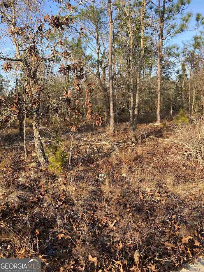 photo 2: Robert Chapel Cemetery Road, Glennville GA 30427