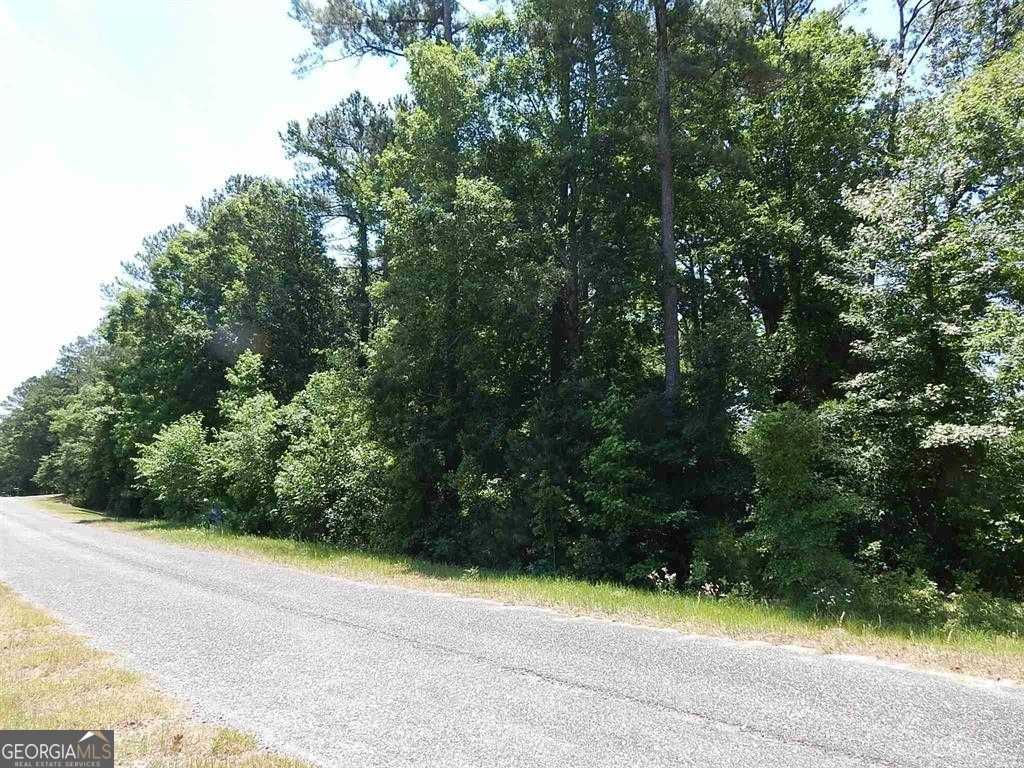 photo 2: Lewis Mill Lake Road Unit LOT 10, Vienna GA 31092